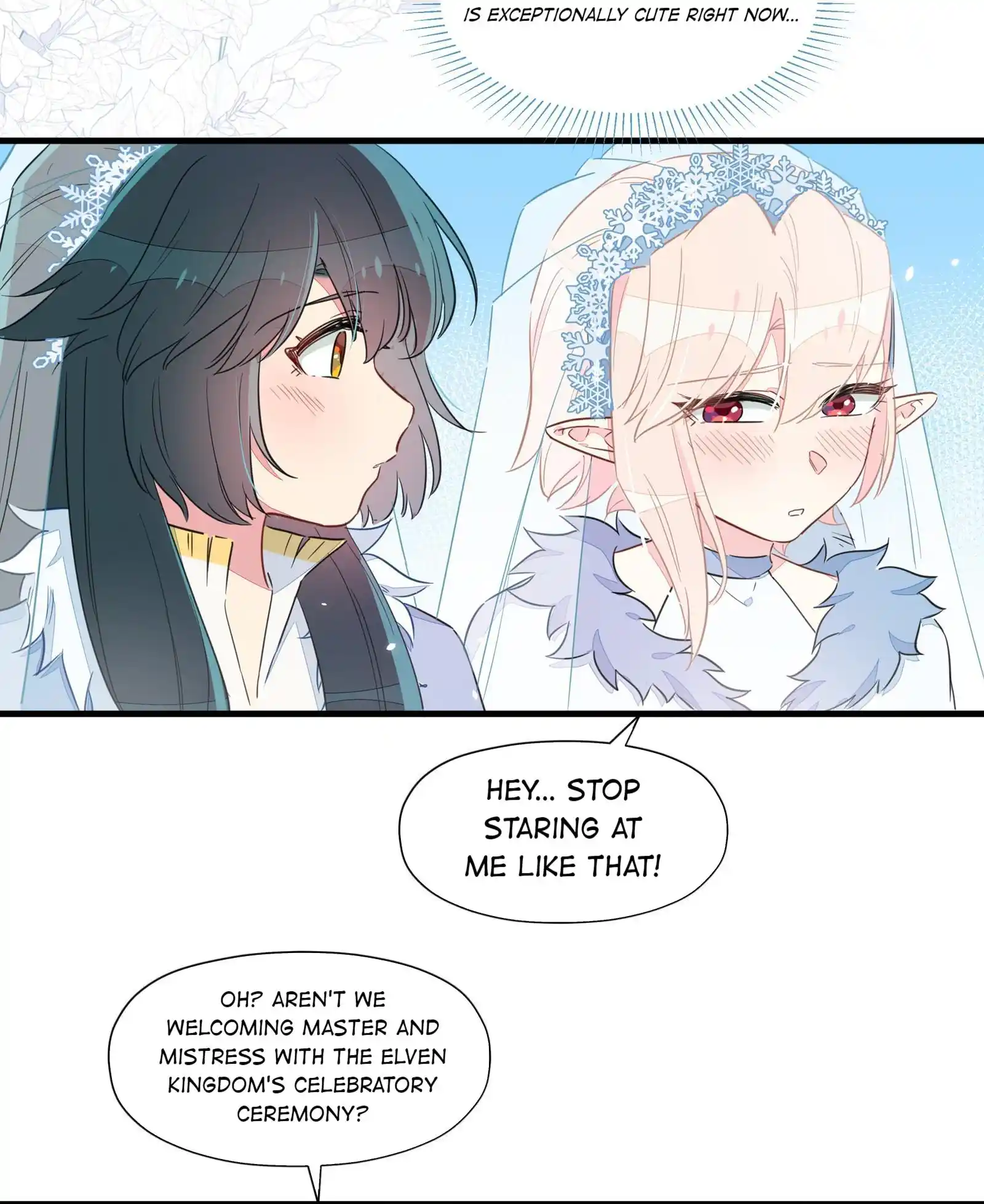What Should I Do If I've Signed a Marriage Contract with the Elven Princess Vol.0 Ch.37