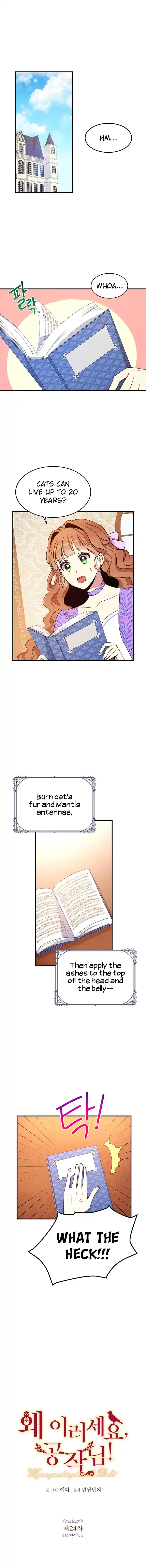 What’s Wrong With You, Duke? Chapter 24