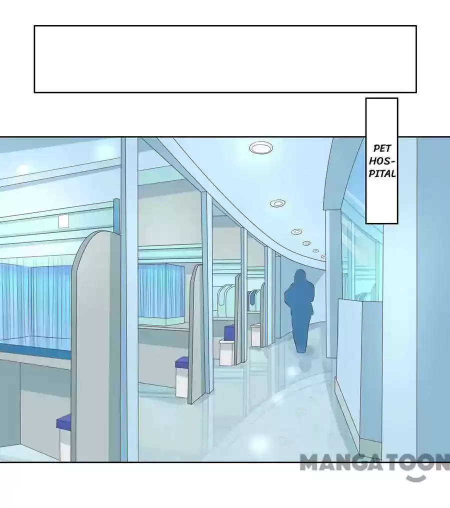 When Doctor Chu Wants Romance Episode 150