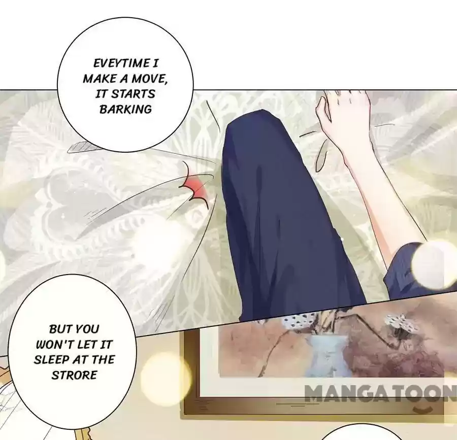 When Doctor Chu Wants Romance Episode 160