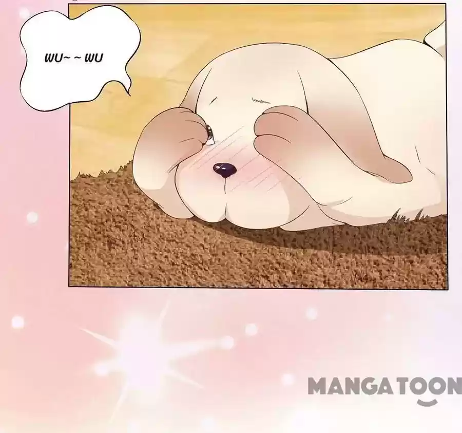 When Doctor Chu Wants Romance Episode 161