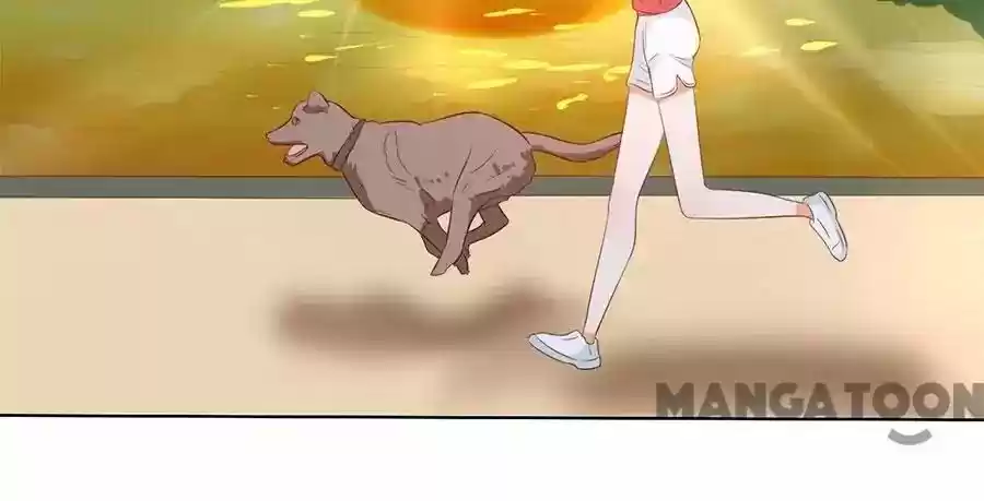 When Doctor Chu Wants Romance Episode 186