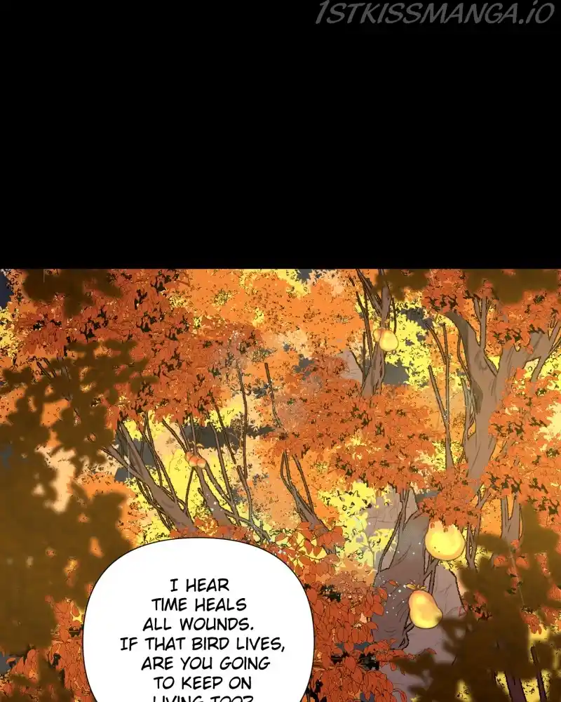 When Jasy Whistles Chapter 62