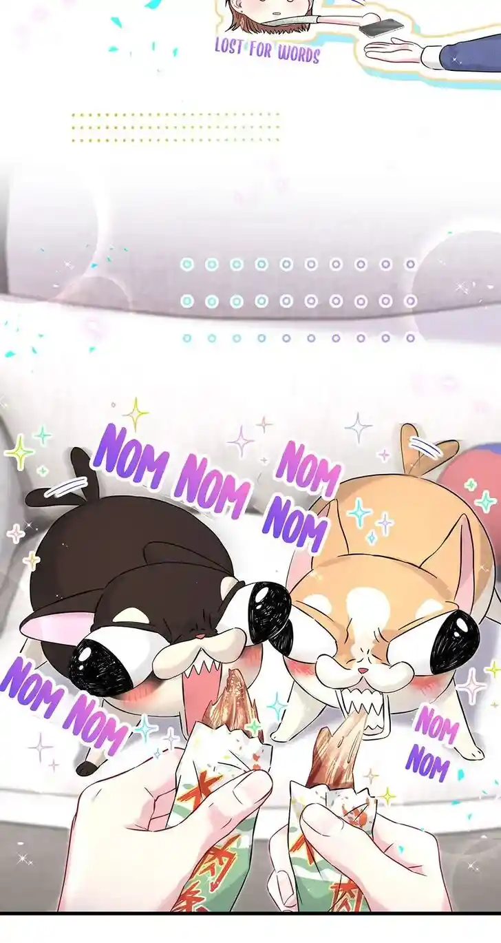 Whose Baby is it? Ch.319