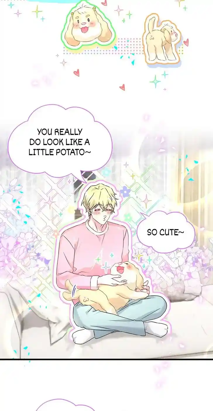 Whose Baby is it? Ch.320