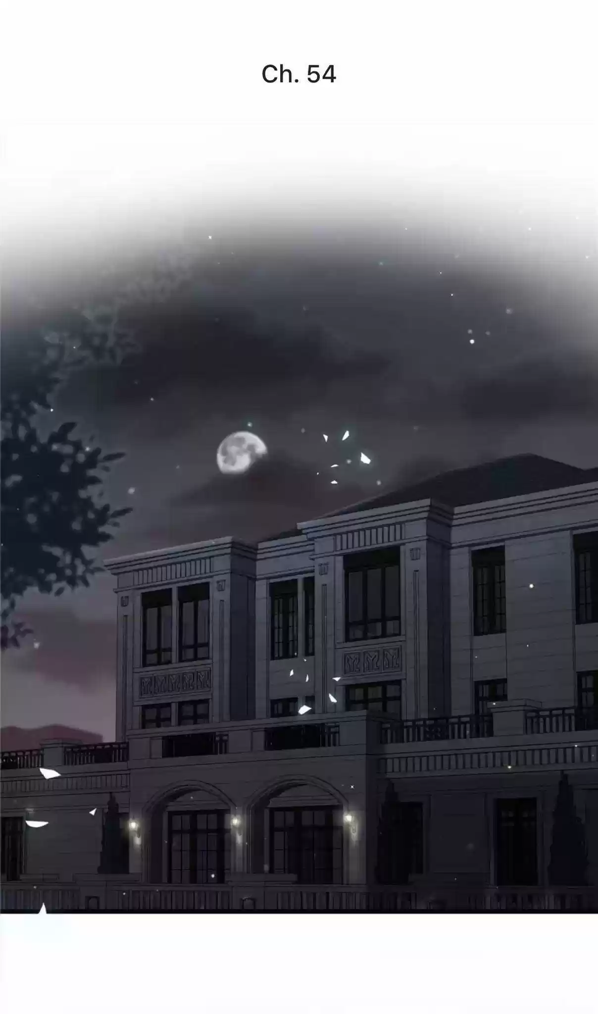 Whose Baby Is It? Chapter 54