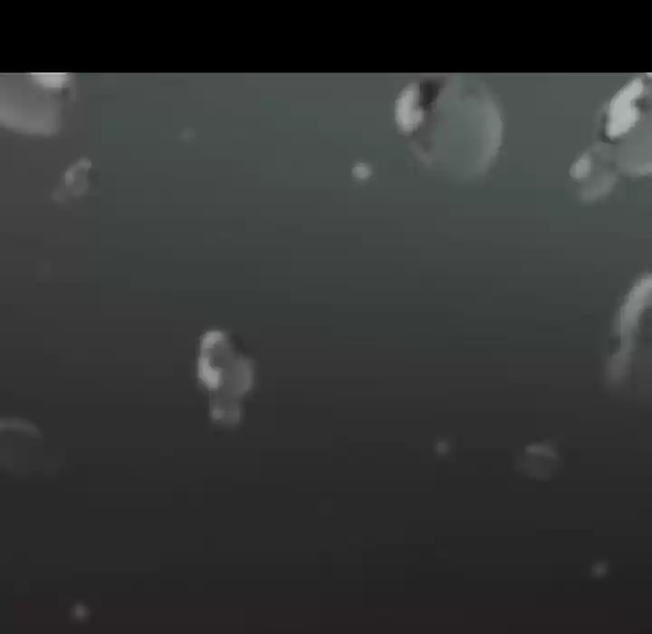 Wild City Chapter 119