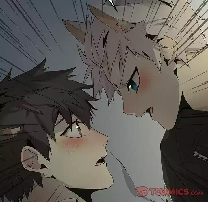 Wild City Chapter 127