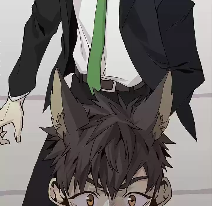 Wild City Chapter 47