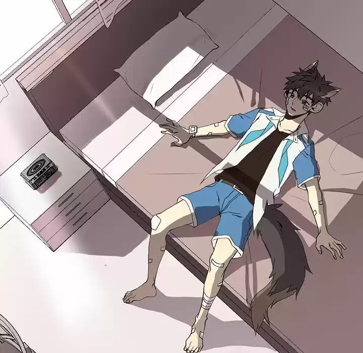 Wild City Chapter 49