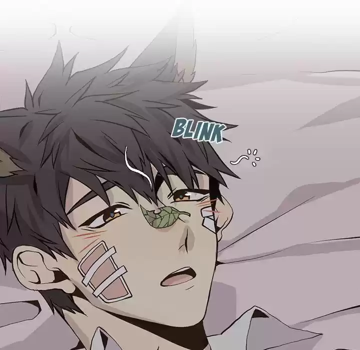 Wild City Chapter 49