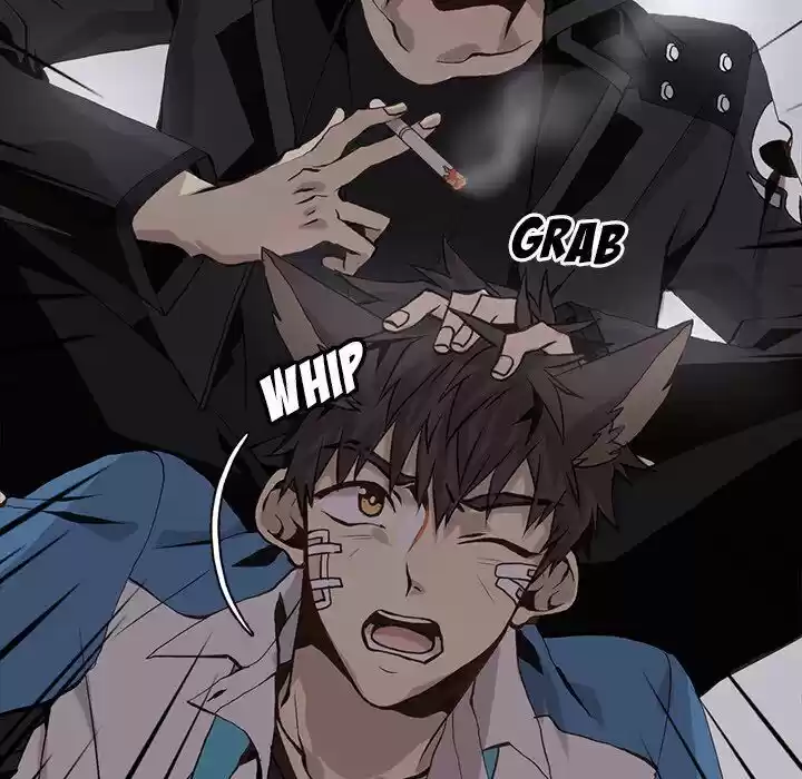 Wild City Chapter 50