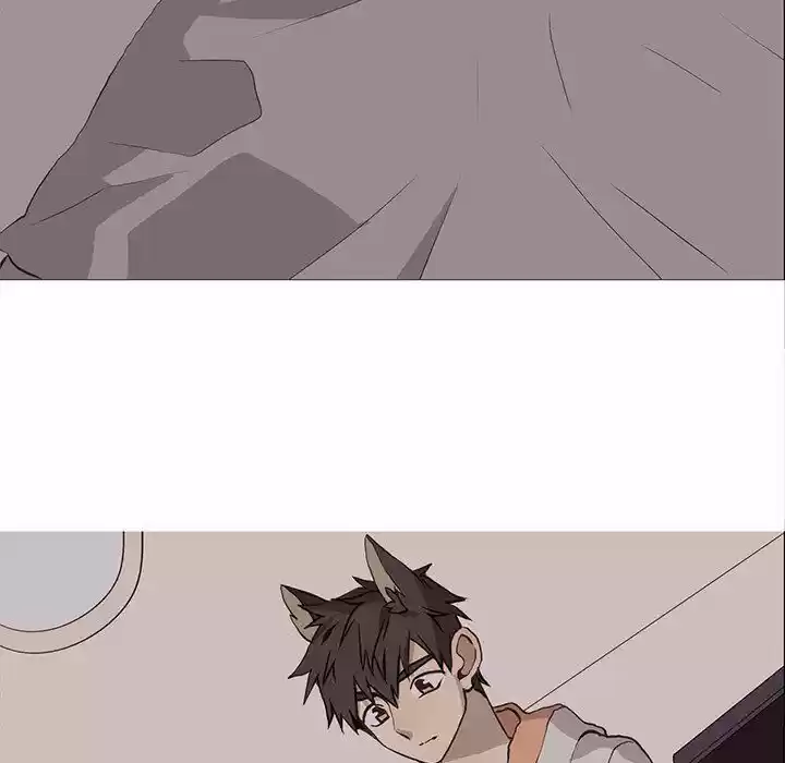 Wild City Chapter 62