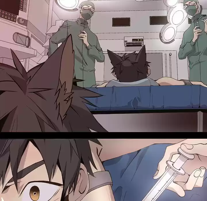 Wild City Chapter 67