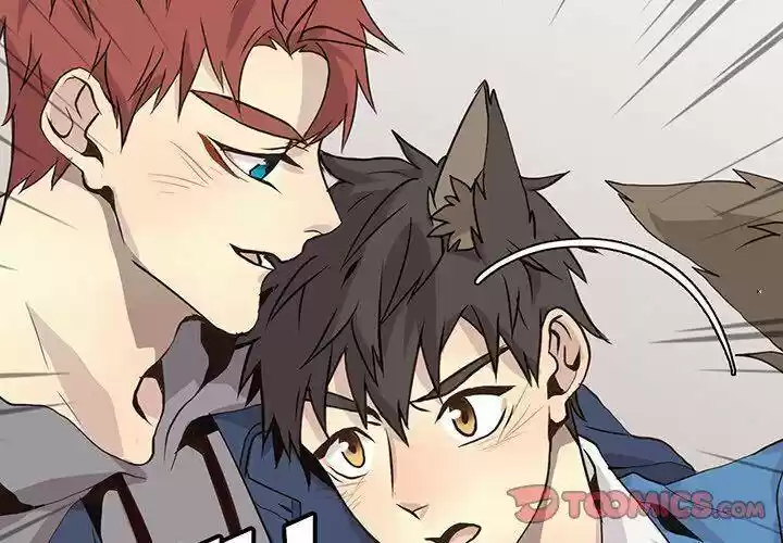 Wild City Chapter 84