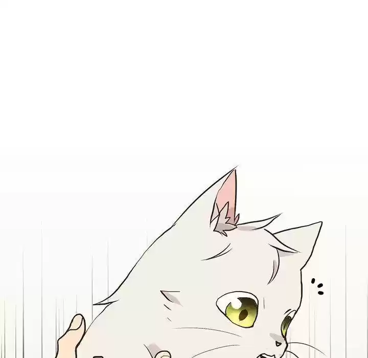 Wild City Chapter 86