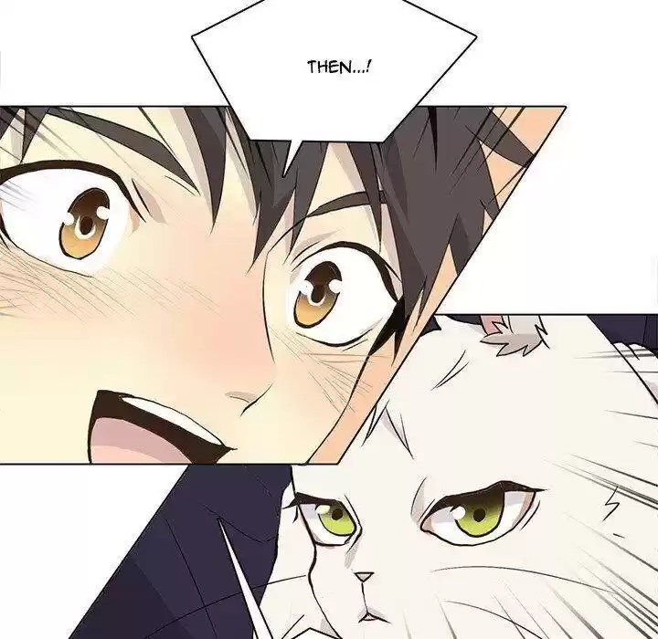 Wild City Chapter 87