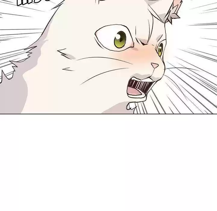 Wild City Chapter 88