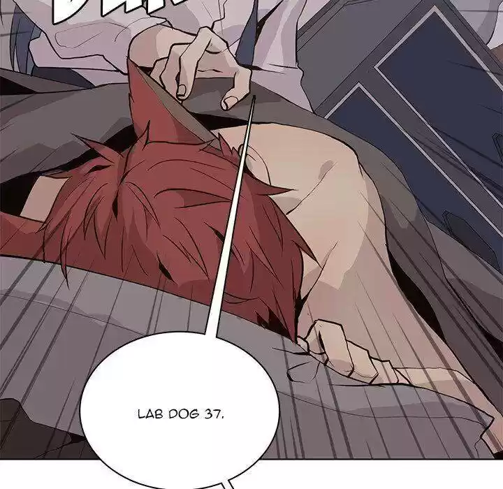 Wild City Chapter 91