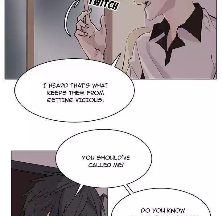 Wild City Chapter 95