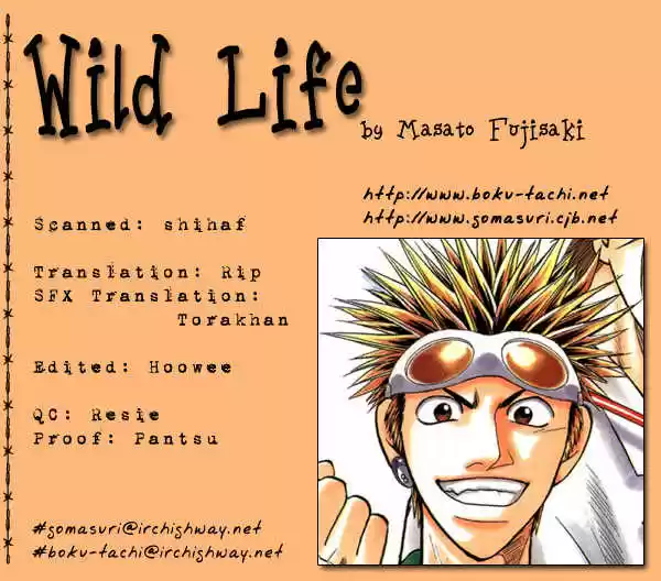 Wild Life 11