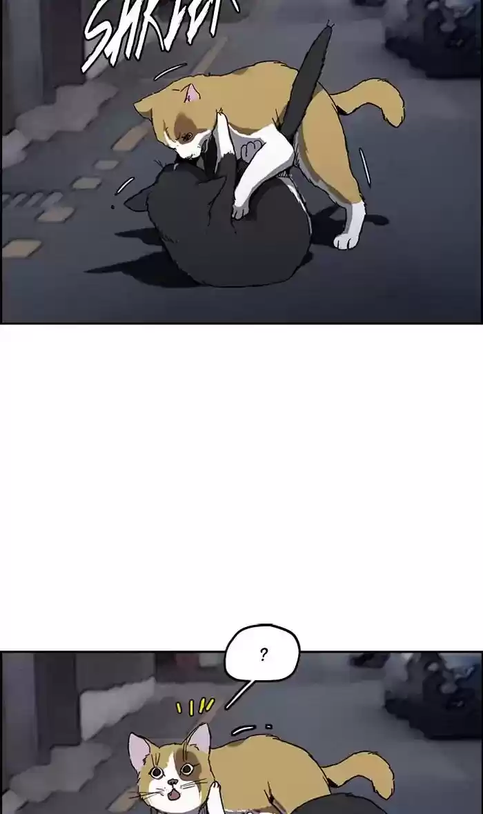 Wind Breaker Chapter 239: