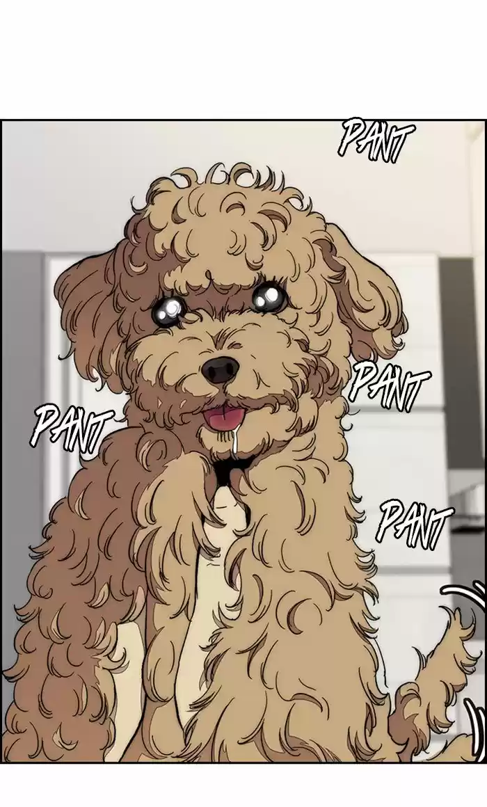 Wind Breaker Chapter 321