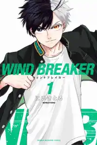 Wind Breaker (NII Satoru) Ch.162