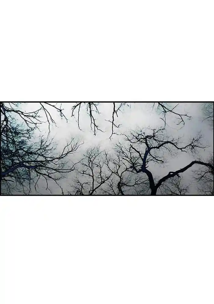 Wind Breaker (NII Satoru) Ch.172