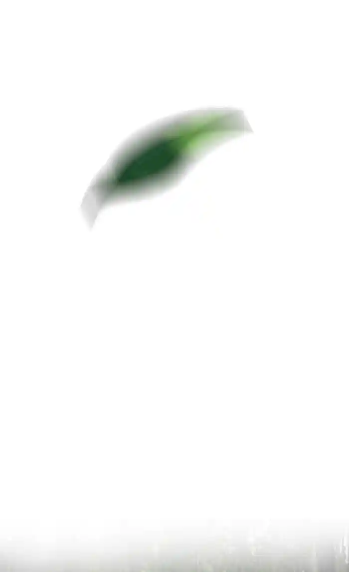 Wind Breaker (NII Satoru) Ch.173