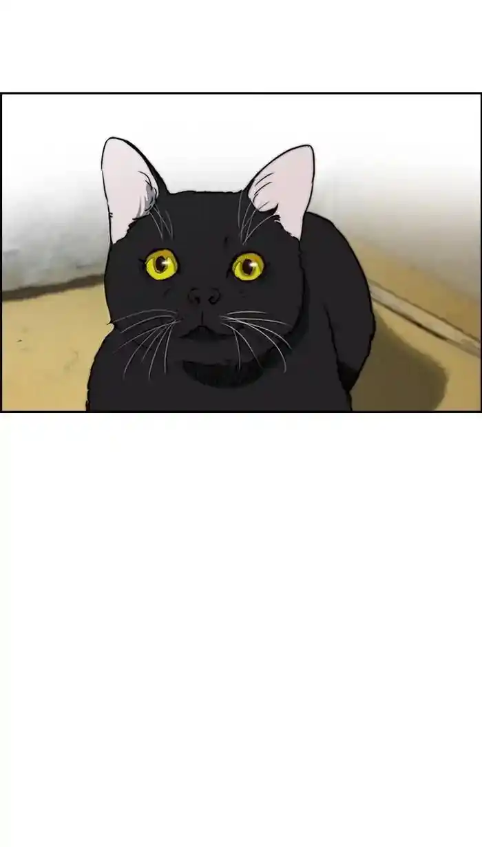 Wind Breaker (NII Satoru) Ch.219