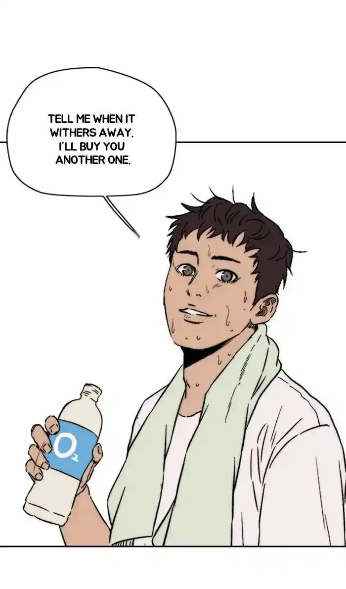 Wind Breaker (NII Satoru) Ch.219