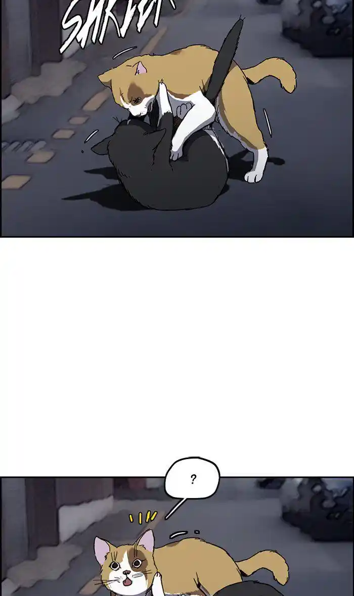 Wind Breaker (NII Satoru) Ch.239