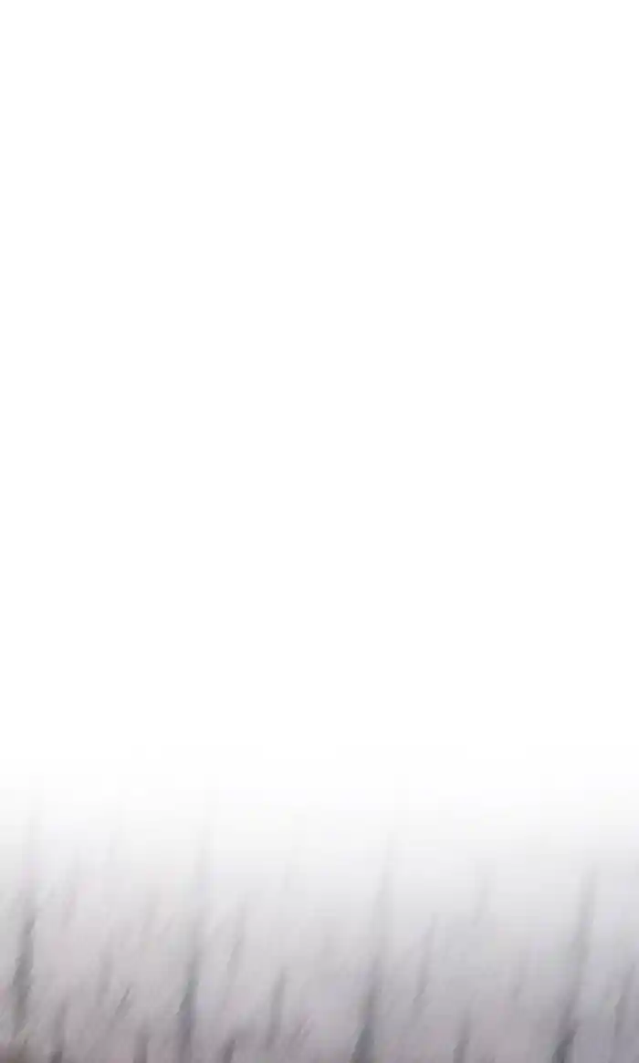 Wind Breaker (NII Satoru) Ch.244