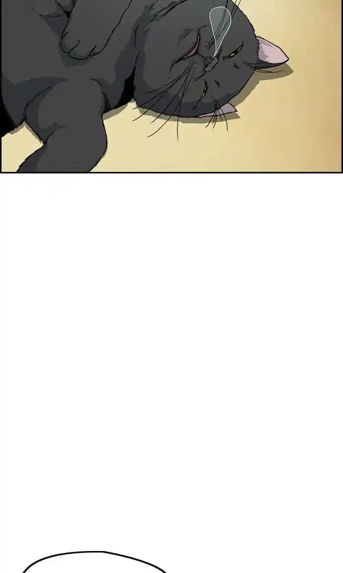 Wind Breaker (NII Satoru) Ch.250