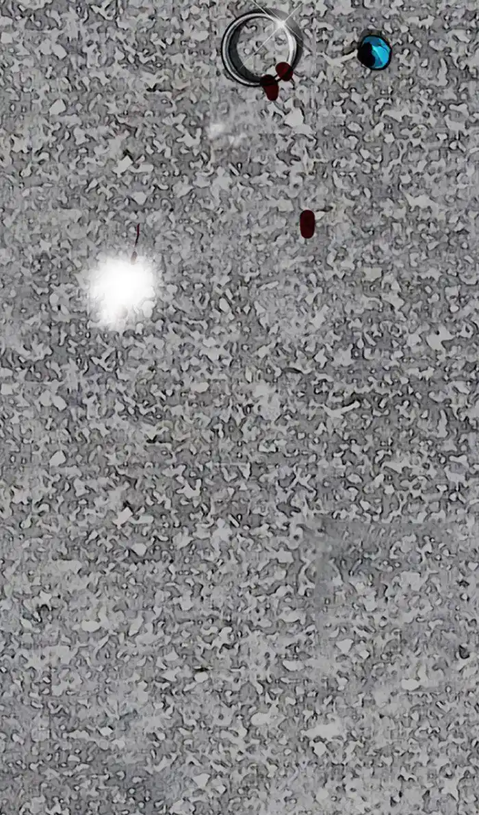 Wind Breaker (NII Satoru) Ch.250