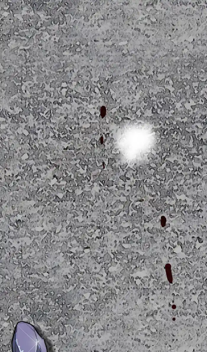 Wind Breaker (NII Satoru) Ch.250