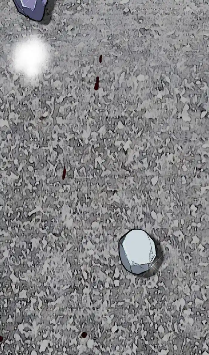 Wind Breaker (NII Satoru) Ch.250