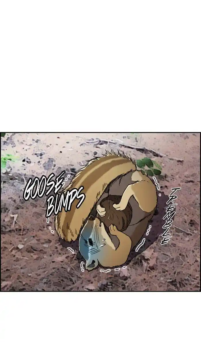 Wind Breaker (NII Satoru) Ch.262