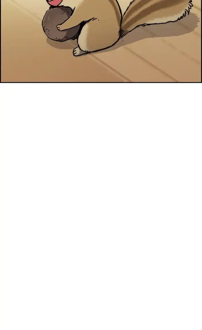 Wind Breaker (NII Satoru) Ch.263