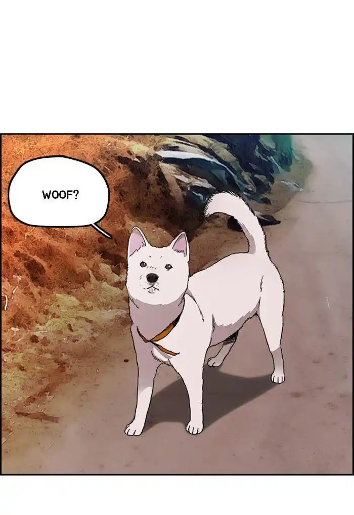 Wind Breaker (NII Satoru) Ch.291