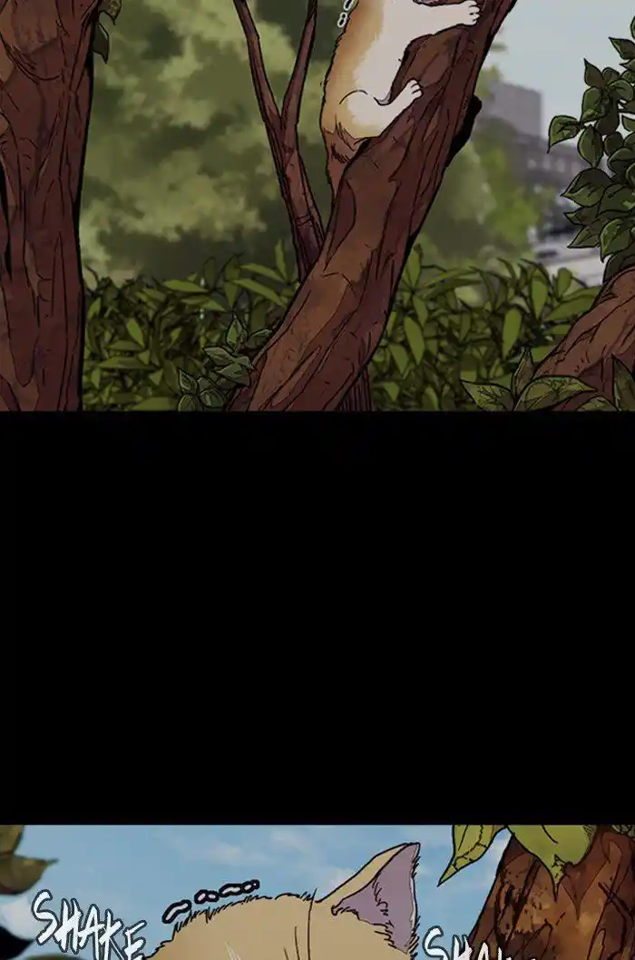 Wind Breaker (NII Satoru) Ch.318