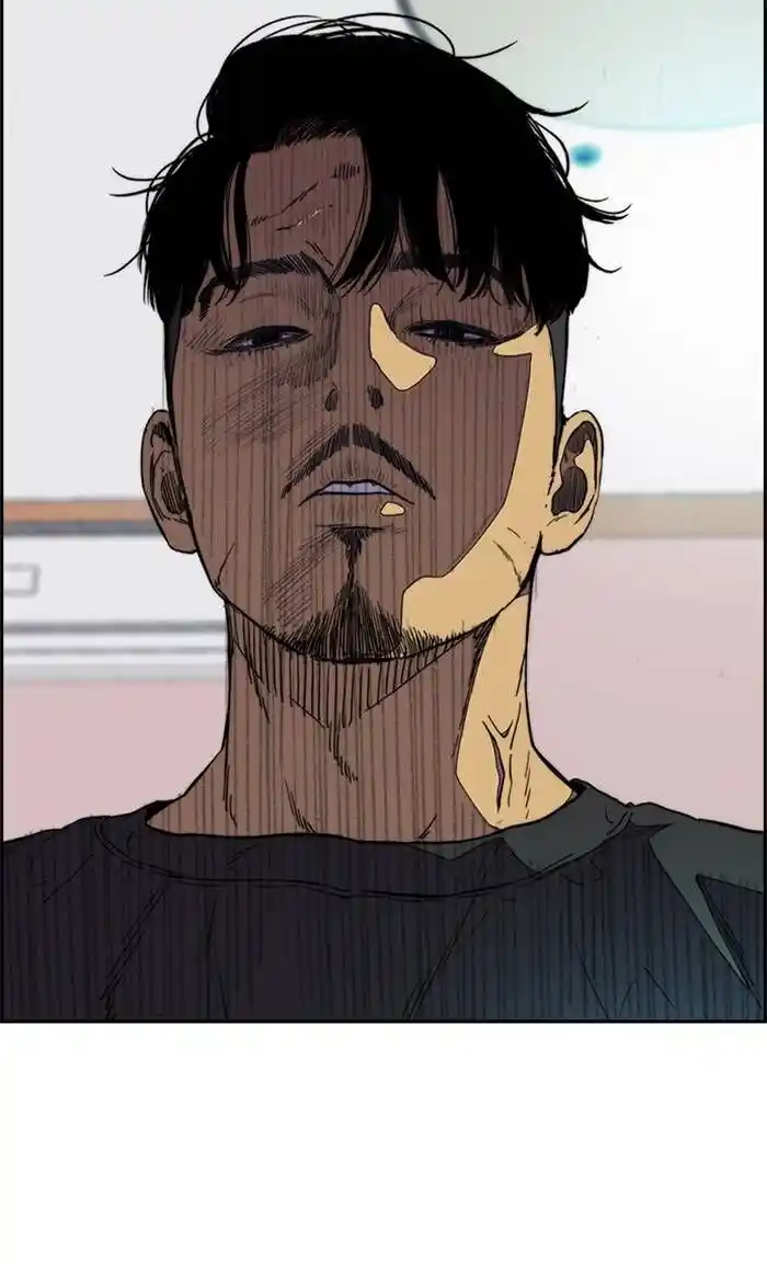 Wind Breaker (NII Satoru) Ch.333