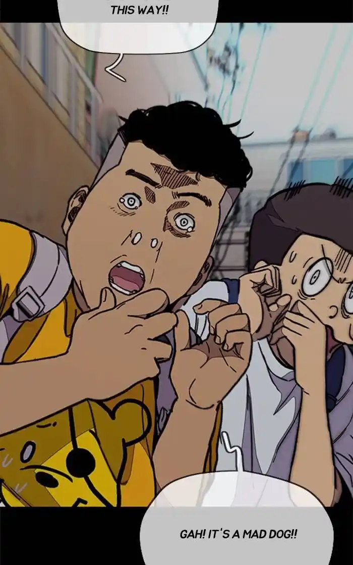 Wind Breaker (NII Satoru) Ch.335