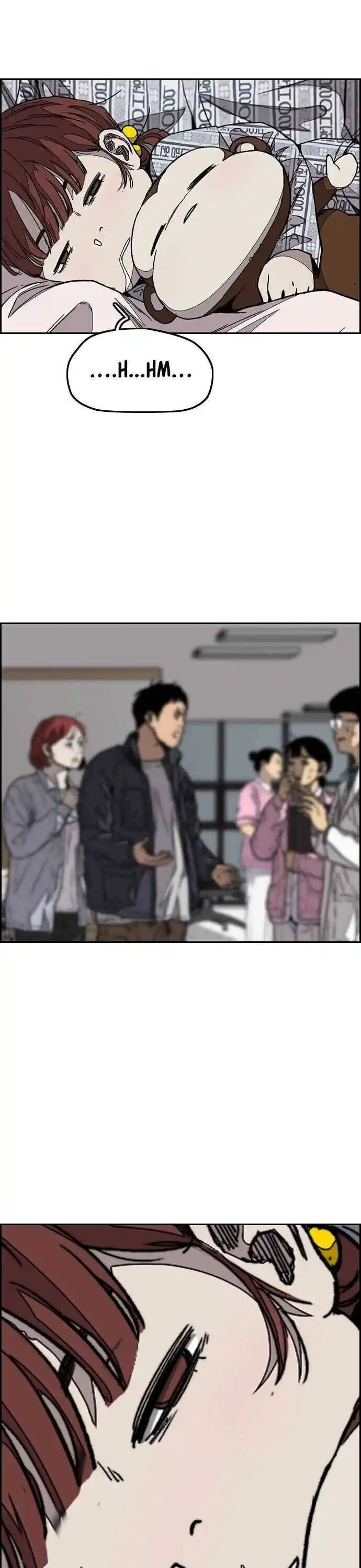 Wind Breaker (NII Satoru) Ch.352