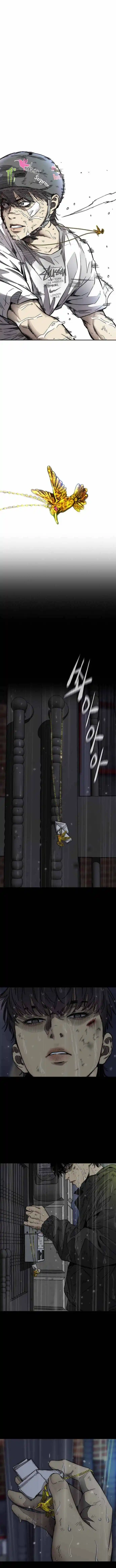 Wind Breaker (NII Satoru) Ch.377