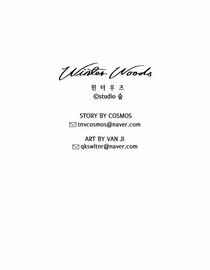 Winter Woods 117