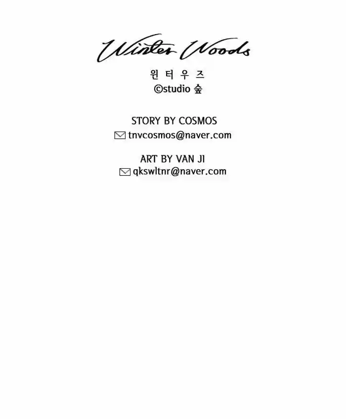 Winter Woods 124