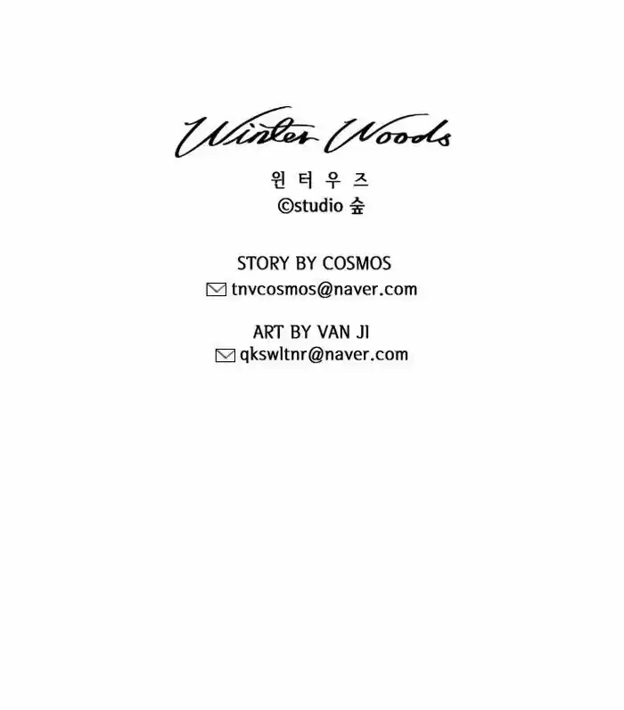 Winter Woods 127