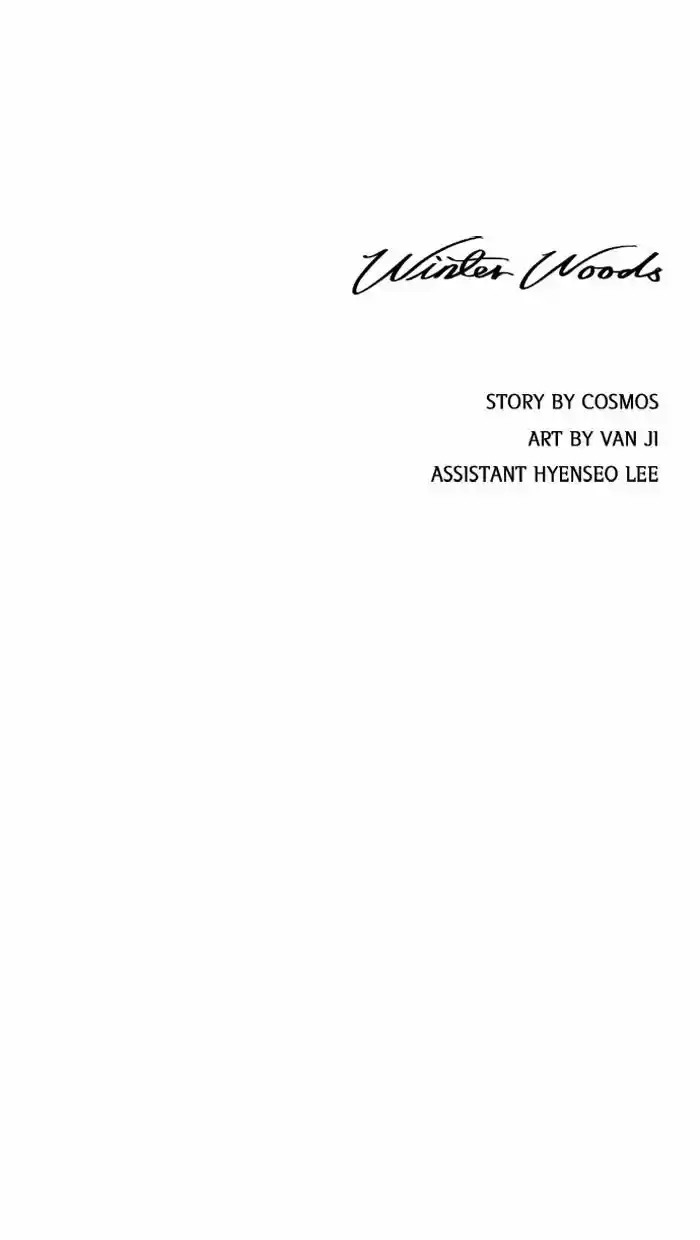 Winter Woods 13